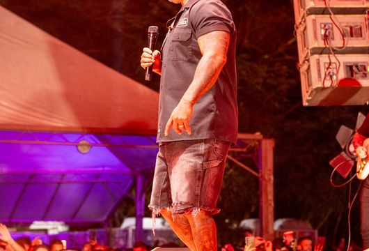 Descrição da Imagem 1